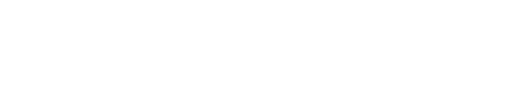 Hawk Academy Logo